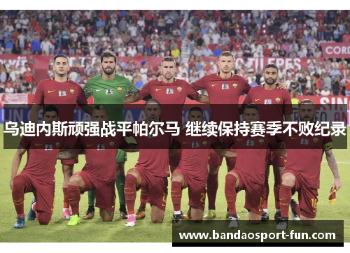 乌迪内斯顽强战平帕尔马 继续保持赛季不败纪录