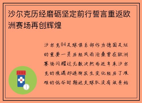 沙尔克历经磨砺坚定前行誓言重返欧洲赛场再创辉煌
