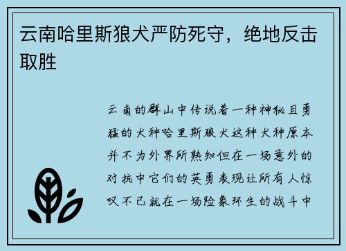 云南哈里斯狼犬严防死守，绝地反击取胜